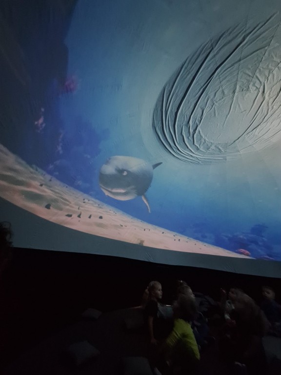 Dzieci oglądają seans filmowy w mobilnym kinie sferycznym, w tle widać obraz oceanu i płynącego rekina