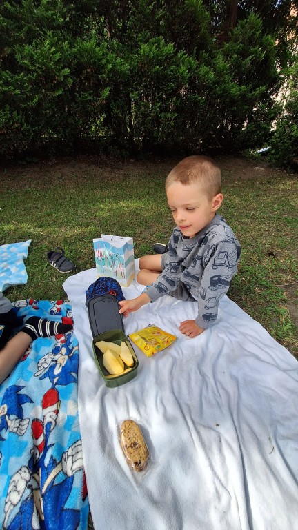 Piknik