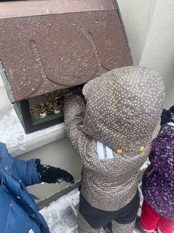 chłopiec ubrany w kombinezon wsypuje ziarenka do karmnika