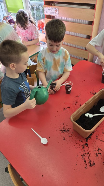 Dzieci sadzą fasolki 