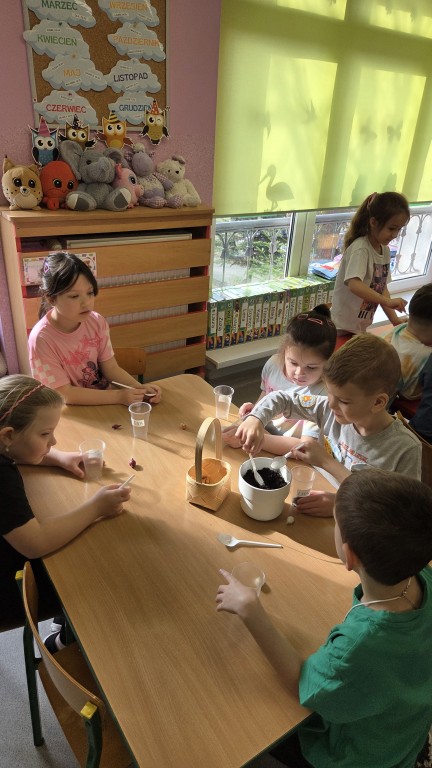 Dzieci sadzą fasolki