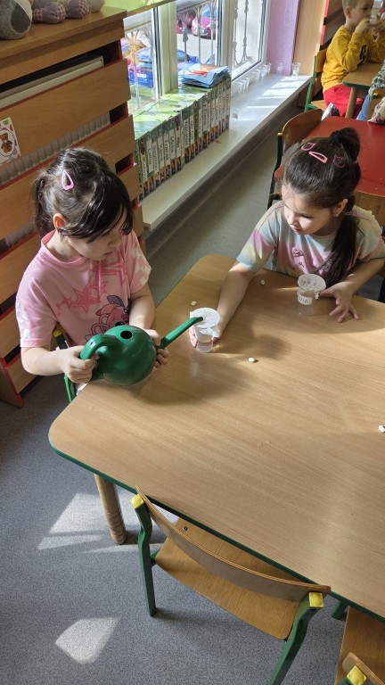 Dzieci sadzą fasolki 