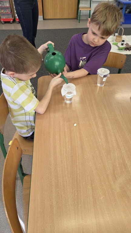 Dzieci sadzą fasolki 