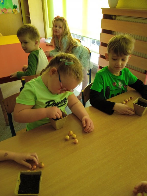 dzieci sadza wiosenne cebulki